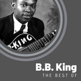 B B  King - The Best of B B  King (2020) Mp3 320kbps [PMEDIA] ⭐️