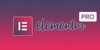 Elementor Pro v2.10.2 - Elementor v2.9.12 - Live Page Builder For WordPress - NULLED + Page Archive & Popup Templates