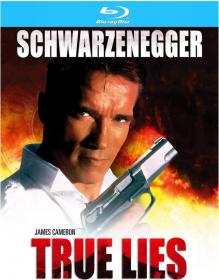 True Lies (1994) 1080p 10bit Bluray x265 HEVC [Org DD 2 0 Hindi + DD 5.1 English] MSubs ~ TombDoc
