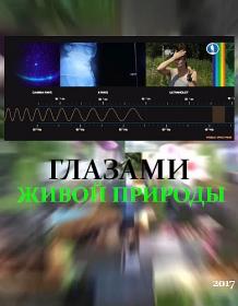 Глазами живой природы_720p