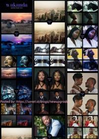 Graphicriver - 7 Cinematic Lightroom Presets - Wakanda Inspired Pack ( + Mobile Version) 27542569