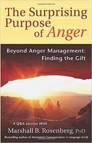 The Surprising Purpose of Anger - Beyond Anger Management - Finding the Gift