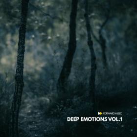 VA - Deep Emotions Vol  1 [Forward Music] (2020) MP3