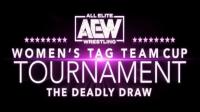 AEW Womens Tag Team Cup Tournament Night 1 3rd August 2020 1080p WEBRip h264<span style=color:#39a8bb>-TJ</span>