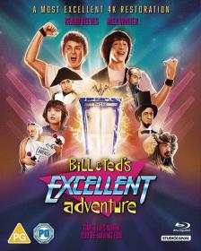 Bill and Teds Excellent Adventure 1989 HDRip XviD