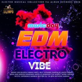 EDM Electro Vibe