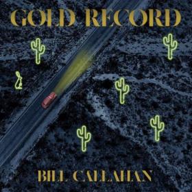 Bill Callahan - Gold Record (2020) Mp3 320kbps [PMEDIA] ⭐️