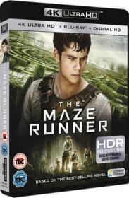 The Maze Runner - Il Labirinto (2014) [Bluray 2160p 4k UHD HDR10 HEVC Eng DTS-HD MA 7.1 MultiLang DTS 5.1- Eng Esp Ac3 5.1 - Multisubs]