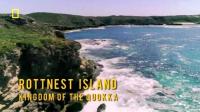 Rottnest Island Kingdom Of The Quokka 2of2 720p HDTV x264 AC3 MVGroup Forum