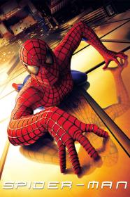 Spiderman 2002 REMASTERED 720p BluRay 999MB HQ x265 10bit<span style=color:#39a8bb>-GalaxyRG[TGx]</span>