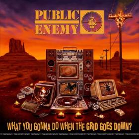 Public Enemy - What You Gonna Do When The Grid Goes Down (2020) Mp3 320kbps [PMEDIA] ⭐️