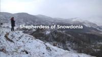 BBC Our Lives 2018 Shepherdess of Snowdonia 1080p HDTV x265 AAC