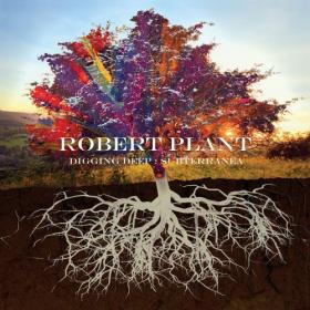 Robert Plant - Digging Deep Subterranea (2020) [320]