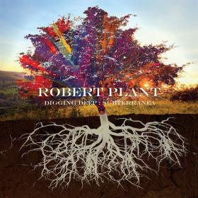 Robert Plant - Digging Deep Subterranea (2020) FLAC