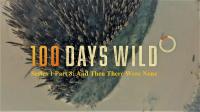 100 Days Wild Series 1 Part 8 And Then There Were None 1080p HDTV x264 AAC