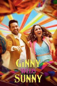 Ginny Weds Sunny (2020)[Hindi 720p HD AVC - AC3 5.1 - x264 - 800MB- ESubs]