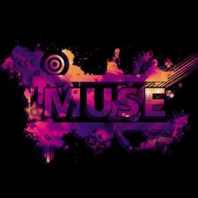 Muse - Vinyl