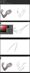 Drawing Arm Muscles - For People in a Rush