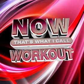 NOW That's What I Call A Workout (2020) Mp3 320kbps [PMEDIA] ⭐️