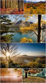 Fall scenery wallpapers (Pack 36)