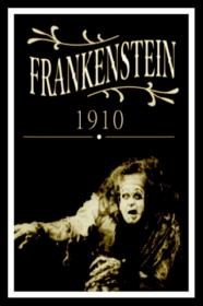 Frankenstein 1910 WEBRIP 576p x264 RUS liosaa