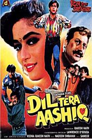Dil Tera Aashiq (1993) Hindi 1080p 10bit AMZN WEBRip x265 HEVC DDP 2 0 ESub ~ TombDoc