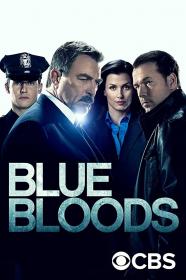 Blue Bloods S10E02 FRENCH WEBRip Xvid<span style=color:#39a8bb>-EXTREME</span>