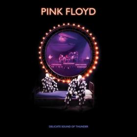 Pink Floyd - Delicate Sound of Thunder (2019 Remix) (Live) (2020)