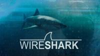 Wireshark Packet Analysis and Ethical Hacking Core Skills