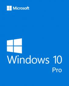 Windows 10 Pro x64 incl Office 2019 [EN-US] NOV 2020 [Pre-Activated]