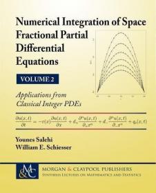 Numerical Integration of Space Fractional Partial Differential Equations - Vol 2 - Applications from Classical Integer PDEs