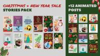 Videohive - Christmas and New Year Sale Stories Pack - 29509117