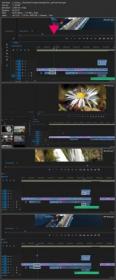 Quick Video Editing with Adobe Premiere Pro CC (12 - 2020)