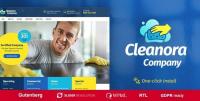 ThemeForest - Cleanora v1.0.6 - Cleaning Services Theme - 21922714
