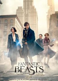 Fantastic Beasts and Where to Find Them (2016) 1080p BluRay x264 English AC3 5.1 - MeGUiL