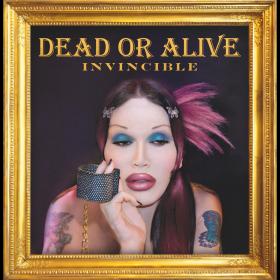 Dead Or Alive Invincible Box Set Compilation Reissue Remastered 11 CD 2020 Flac [WEB]