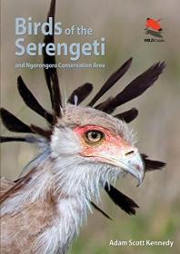 Birds of the Serengeti - And Ngorongoro Conservation Area