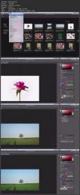 Photoshop for beginners by MG