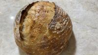 Udemy - Complete Sourdough Bread Baking - Levels 1, 2, 3 and 4! (Update)