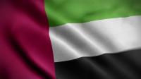 Videohive - United Arab Emirates Flag Textured Waving Close Up Background HD 30306107