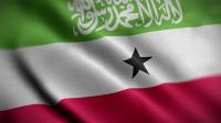 Videohive - Somaliland Flag Textured Waving Close Up Background HD 30306037