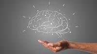 Neuroplasticity How To Rewire Your Brain