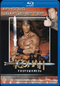 Conan the Destroyer 1984 BDRip-AVC<span style=color:#39a8bb> MegaPeer</span>