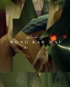 【更多高清电影访问 】World of Wong Kar Wai 1988-2004 CC 1080p Blu-ray AVC DTS-HD MA 5.1 x265 10bit-BeiTai