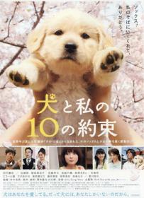 狗狗与我的十个约定 10 Promises to My Dog 2008 HD1080P X264 AC3 Mandarin&Taiwanese&Cantonese&Japanese CHS-ENG FFans@星星