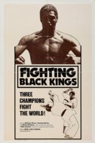 Fighting Black Kings (1976) [1080p] [WEBRip] <span style=color:#39a8bb>[YTS]</span>