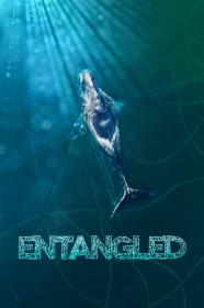 Entangled The Race To Save Right Whales From Extinction (2020) [720p] [WEBRip] <span style=color:#39a8bb>[YTS]</span>