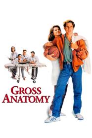 Gross Anatomy (1989) [1080p] [BluRay] <span style=color:#39a8bb>[YTS]</span>