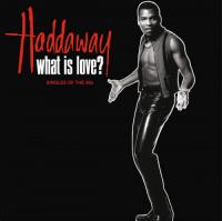 Haddaway - What Is Love The Singles of the 90's - 2018