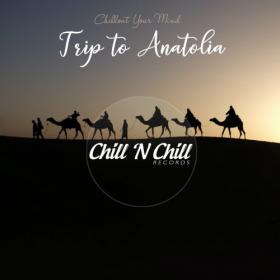 Chill N Chill - Trip to Anatolia_ Chillout Your Mind (2021) [FLAC[